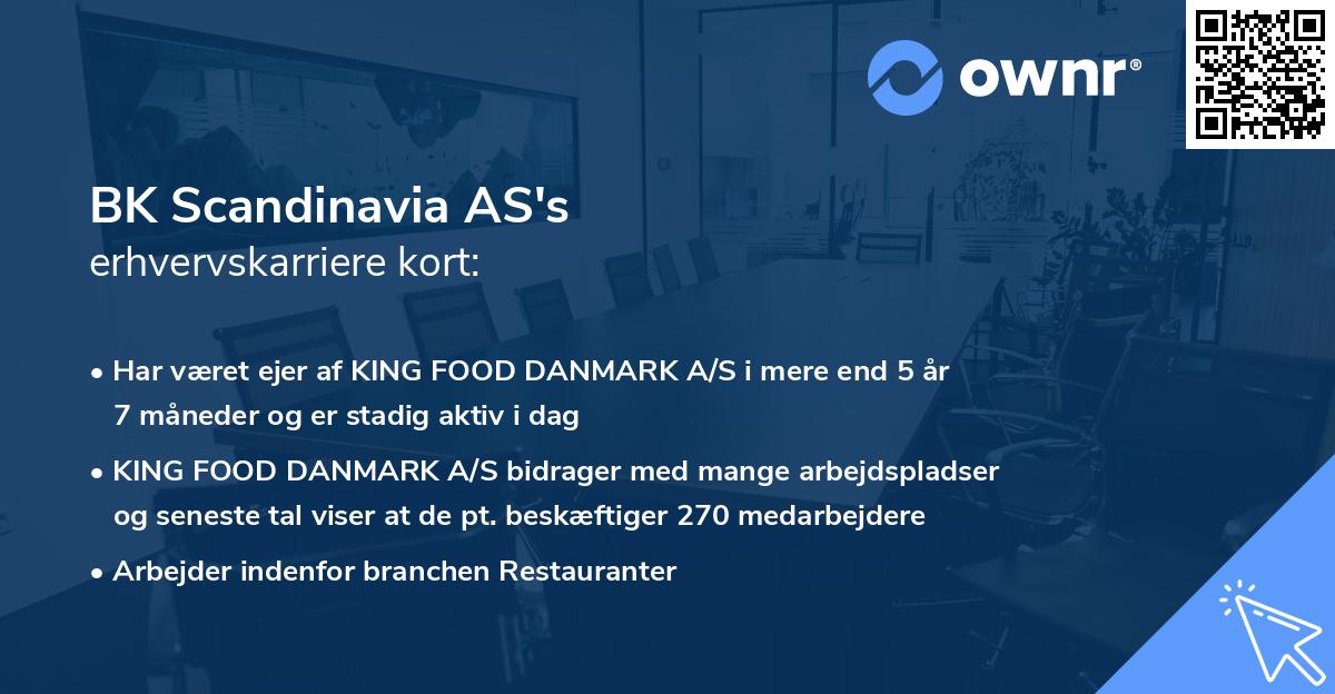 BK Scandinavia AS's erhvervskarriere kort