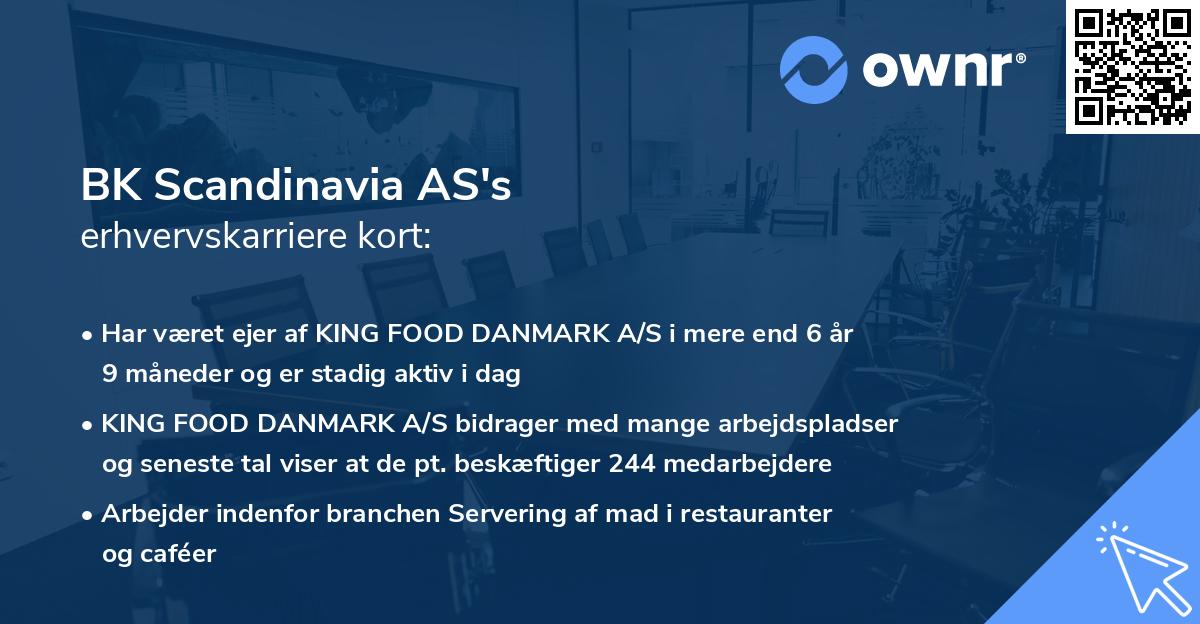 BK Scandinavia AS's erhvervskarriere kort