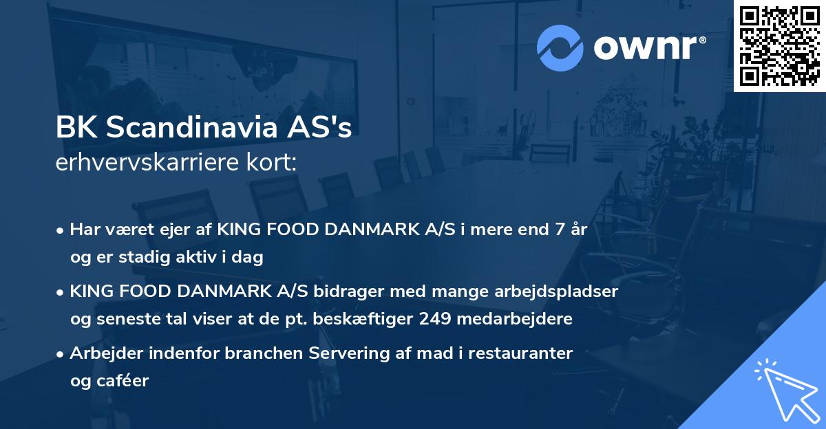 BK Scandinavia AS's erhvervskarriere kort