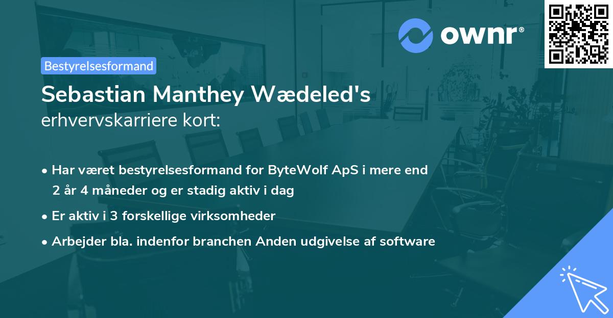 Sebastian Manthey Wædeled's erhvervskarriere kort