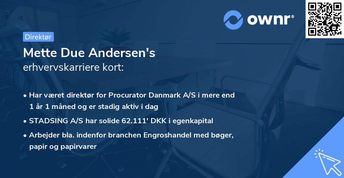 Mette Due Andersen's erhvervskarriere kort