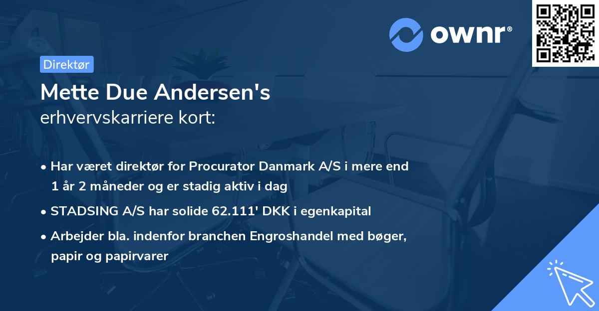 Mette Due Andersen's erhvervskarriere kort