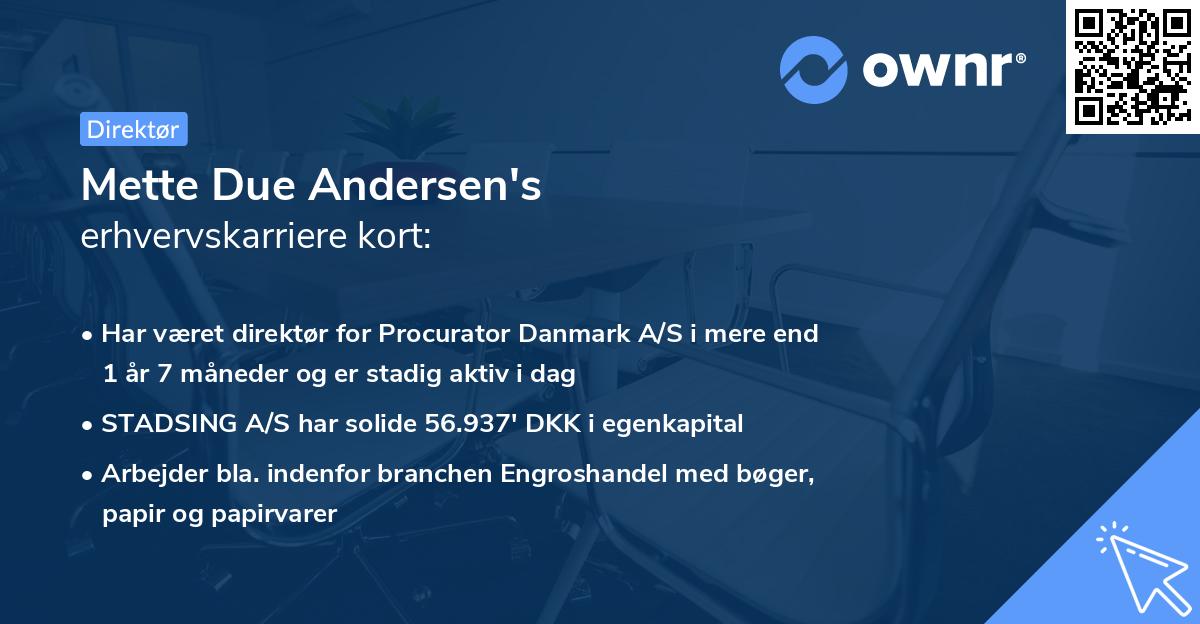 Mette Due Andersen's erhvervskarriere kort