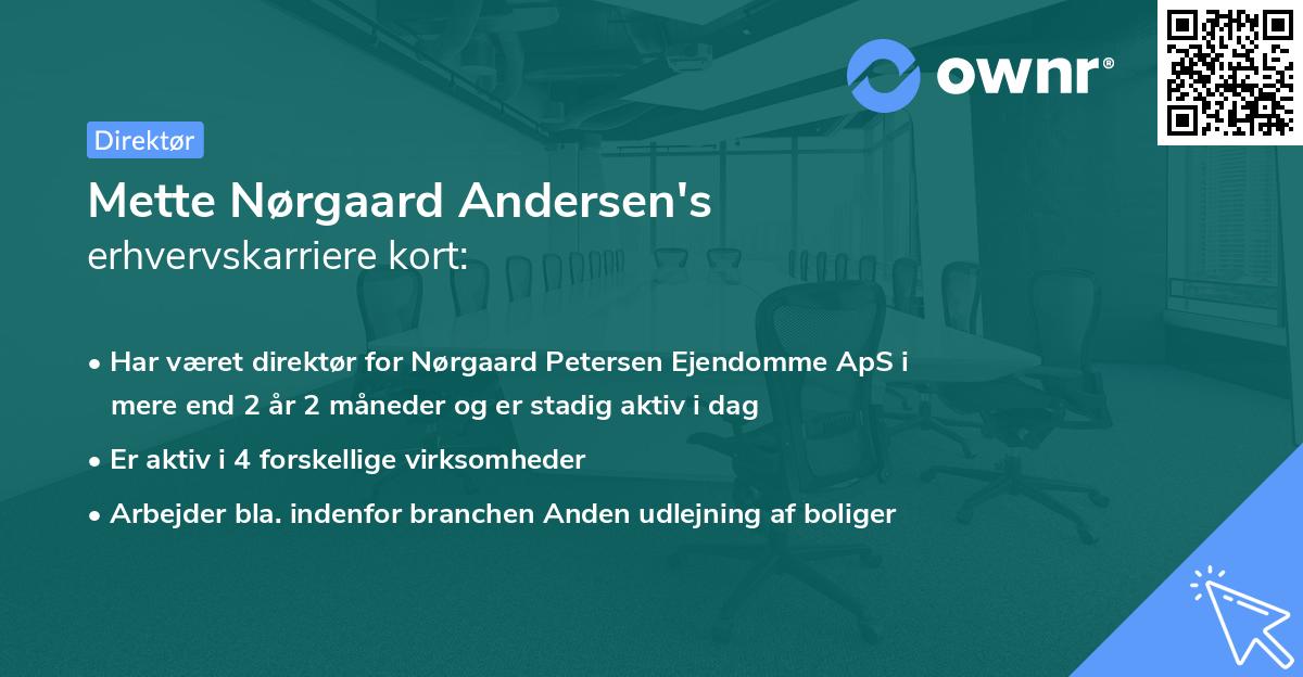 Mette Nørgaard Andersen's erhvervskarriere kort