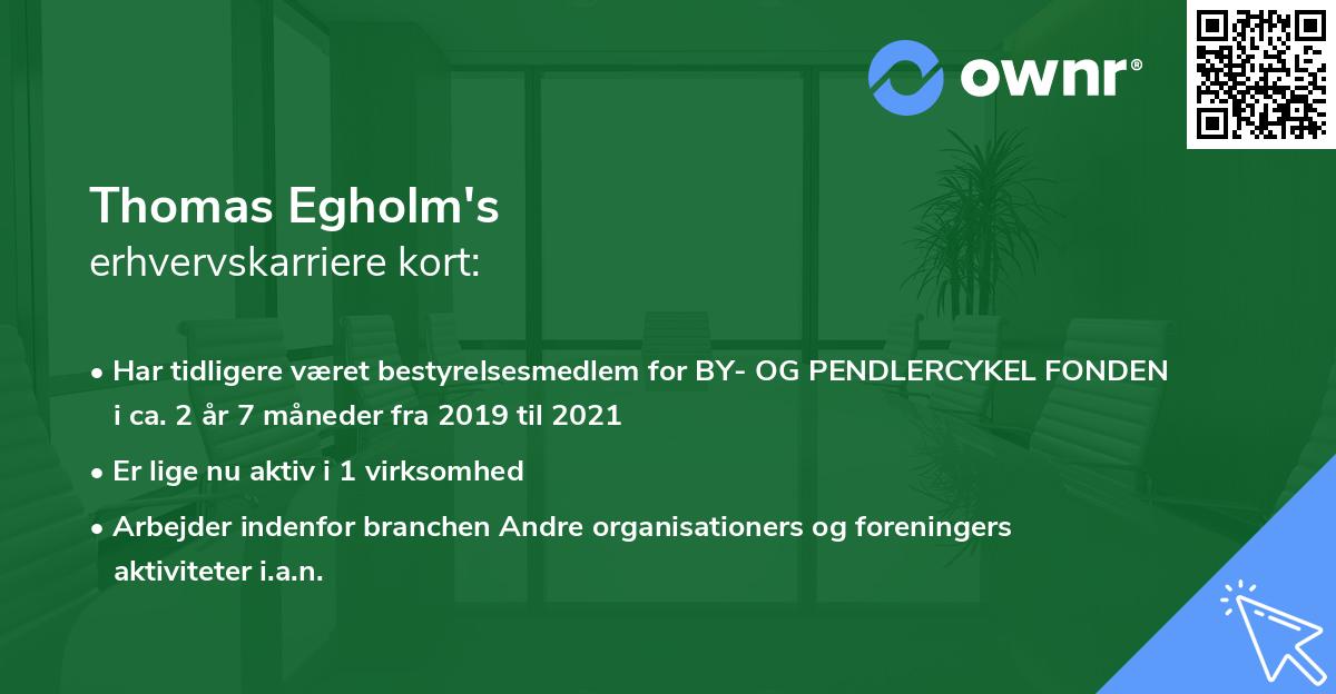 Thomas Egholm's erhvervskarriere kort