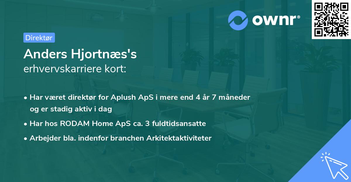 Anders Hjortnæs's erhvervskarriere kort