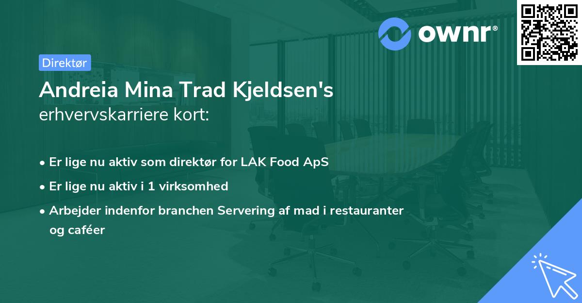 Andreia Mina Trad Kjeldsen's erhvervskarriere kort