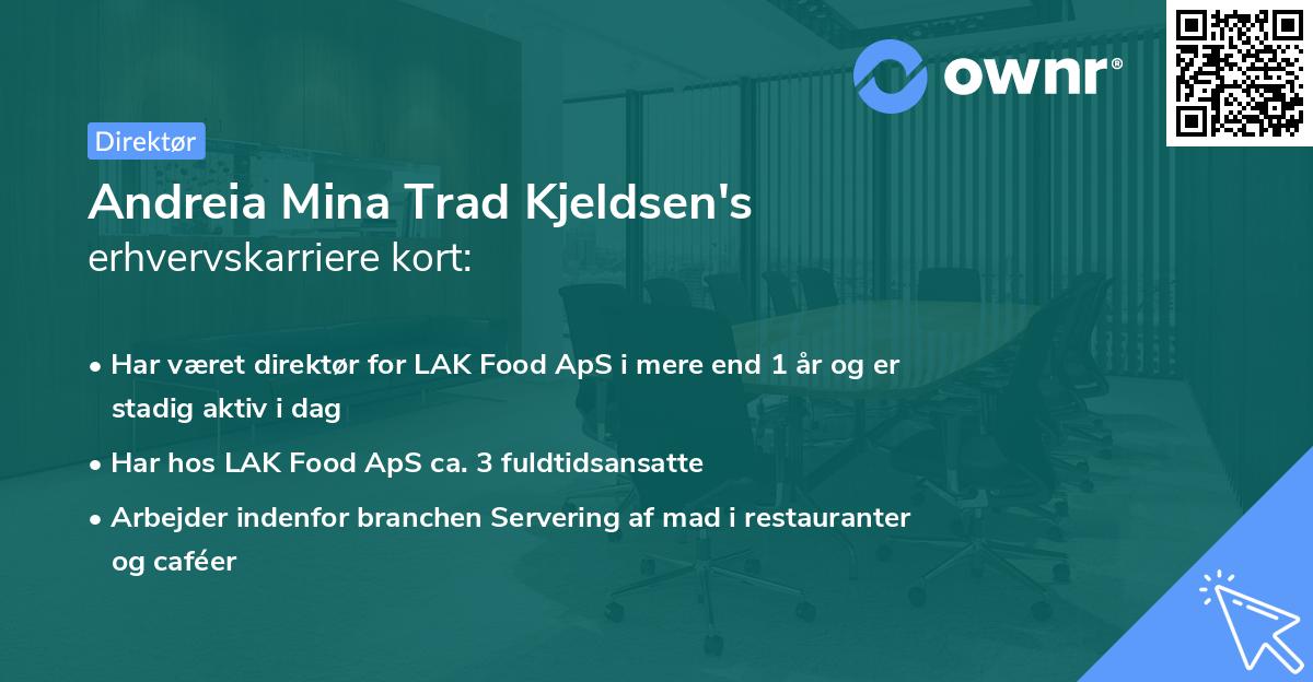 Andreia Mina Trad Kjeldsen's erhvervskarriere kort