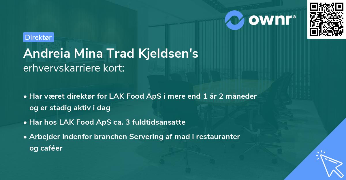 Andreia Mina Trad Kjeldsen's erhvervskarriere kort
