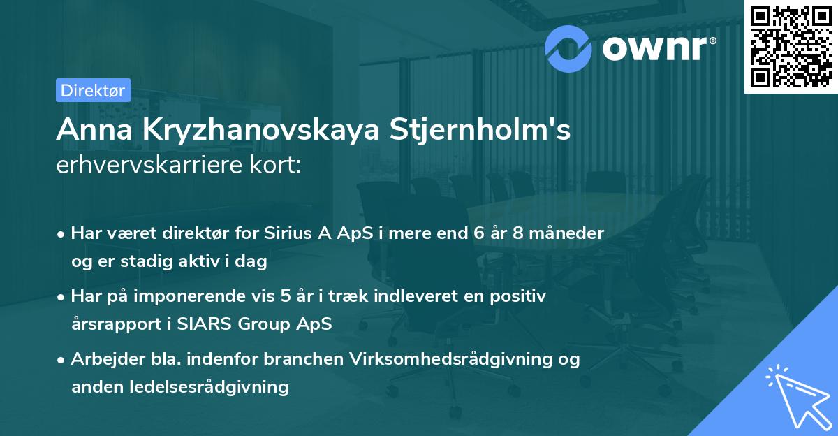 Anna Kryzhanovskaya Stjernholm's erhvervskarriere kort