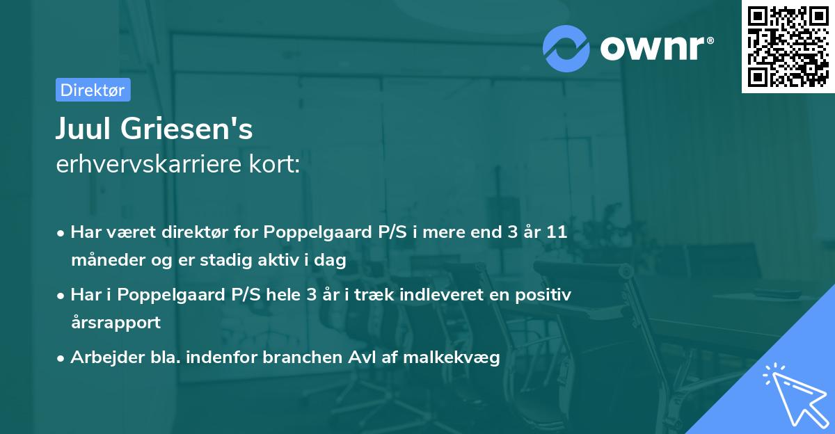 Juul Griesen's erhvervskarriere kort