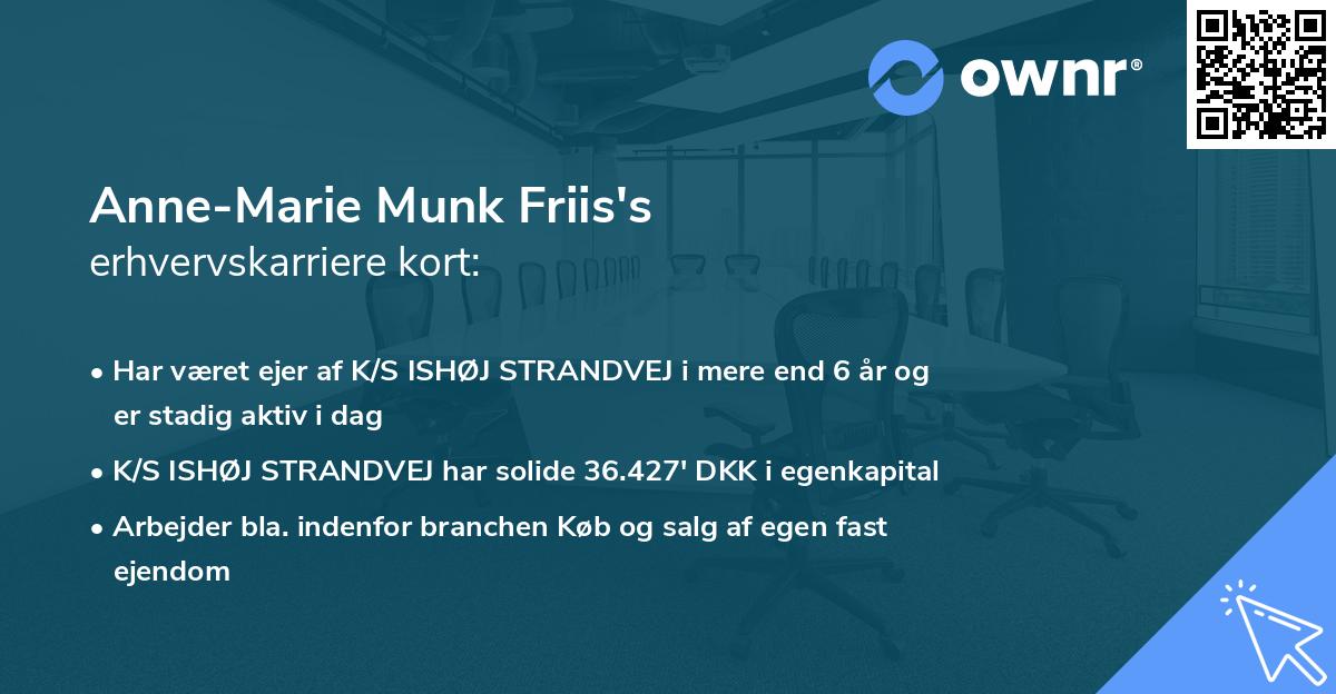 Anne-Marie Munk Friis's erhvervskarriere kort