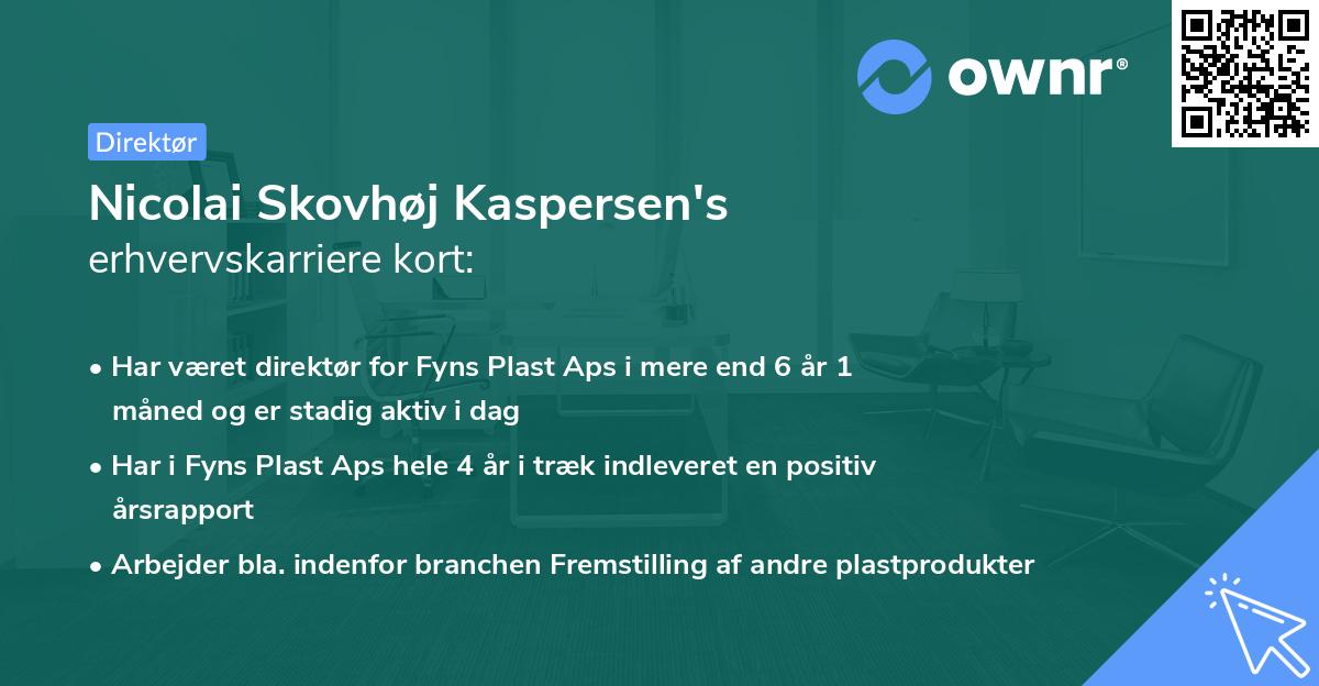 Nicolai Skovhøj Kaspersen's erhvervskarriere kort