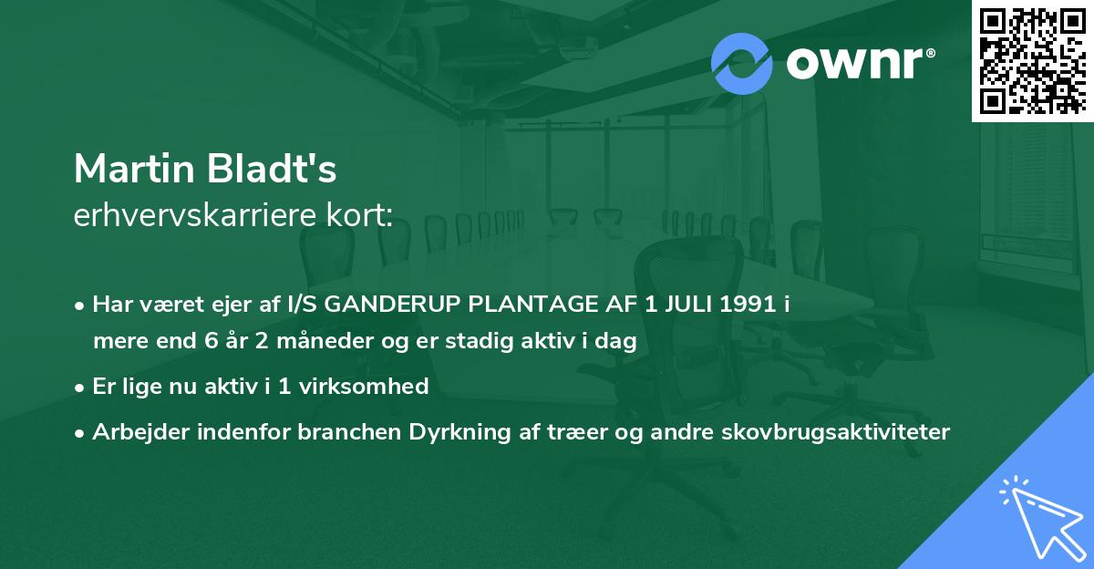 Martin Bladt's erhvervskarriere kort