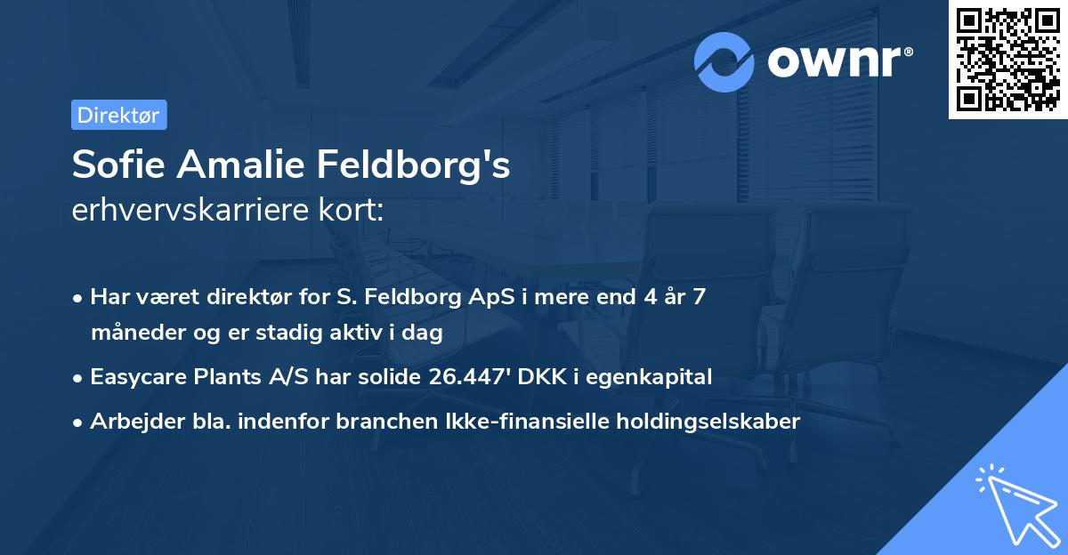 Sofie Amalie Feldborg's erhvervskarriere kort