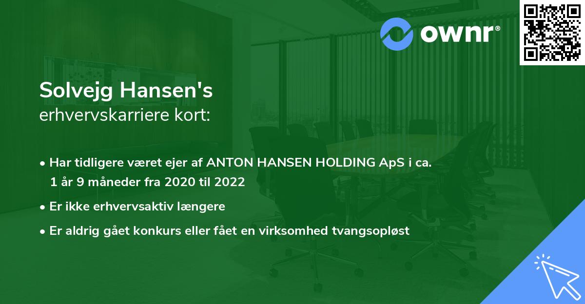 Solvejg Hansen's erhvervskarriere kort