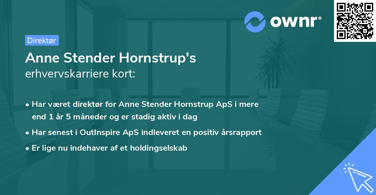 Anne Stender Hornstrup's erhvervskarriere kort