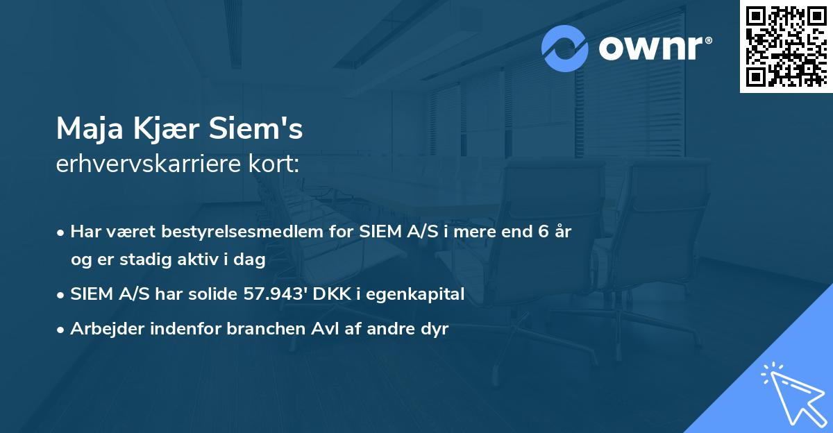 Maja Kjær Siem's erhvervskarriere kort