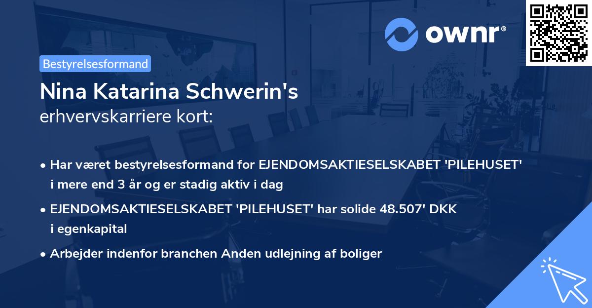 Nina Katarina Schwerin's erhvervskarriere kort