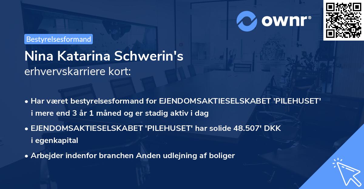 Nina Katarina Schwerin's erhvervskarriere kort