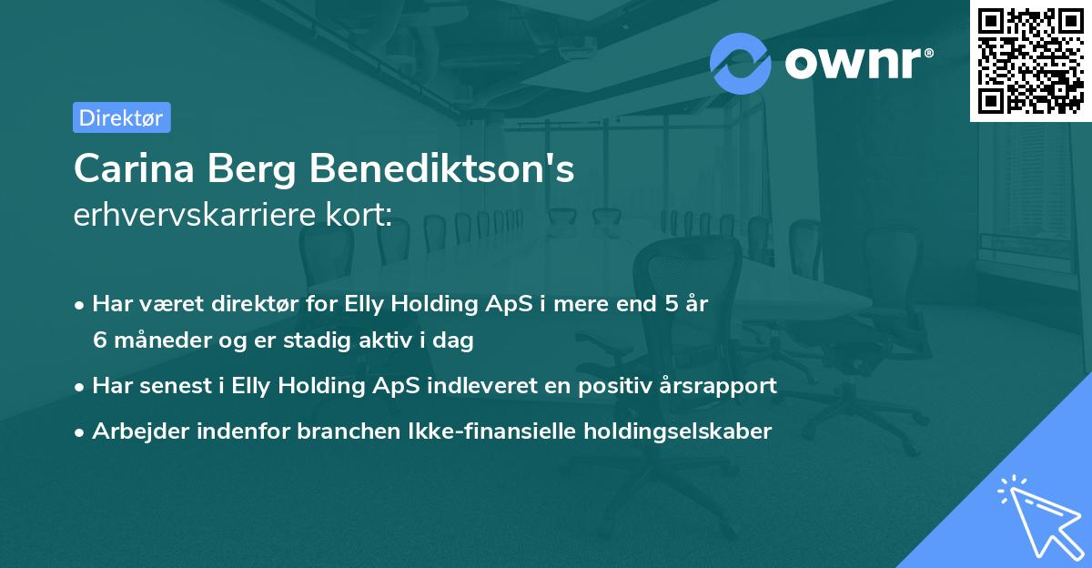 Carina Berg Benediktson's erhvervskarriere kort