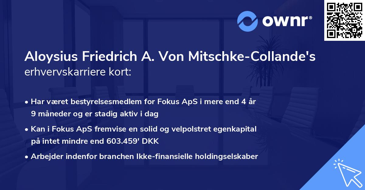 Aloysius Friedrich A. Von Mitschke-Collande's erhvervskarriere kort