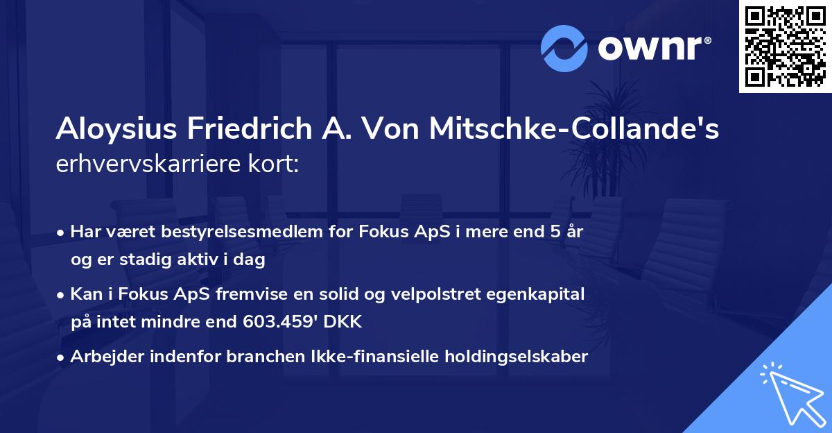 Aloysius Friedrich A. Von Mitschke-Collande's erhvervskarriere kort