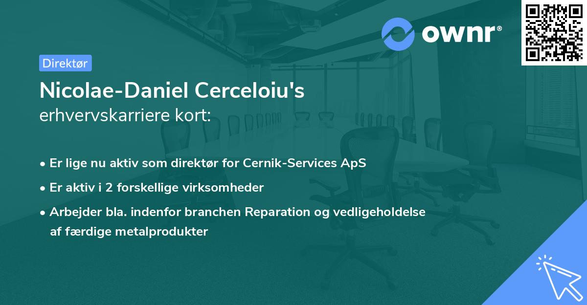 Nicolae-Daniel Cerceloiu's erhvervskarriere kort
