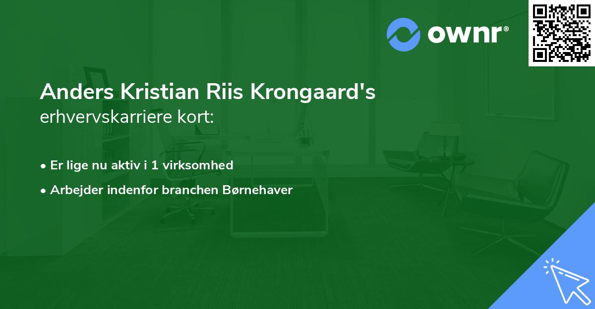 Anders Kristian Riis Krongaard's erhvervskarriere kort