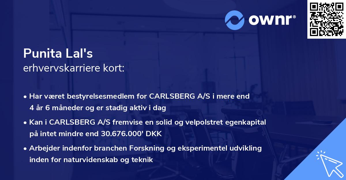 Punita Lal's erhvervskarriere kort