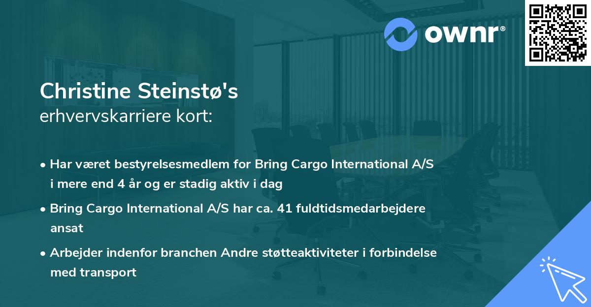Christine Steinstø's erhvervskarriere kort