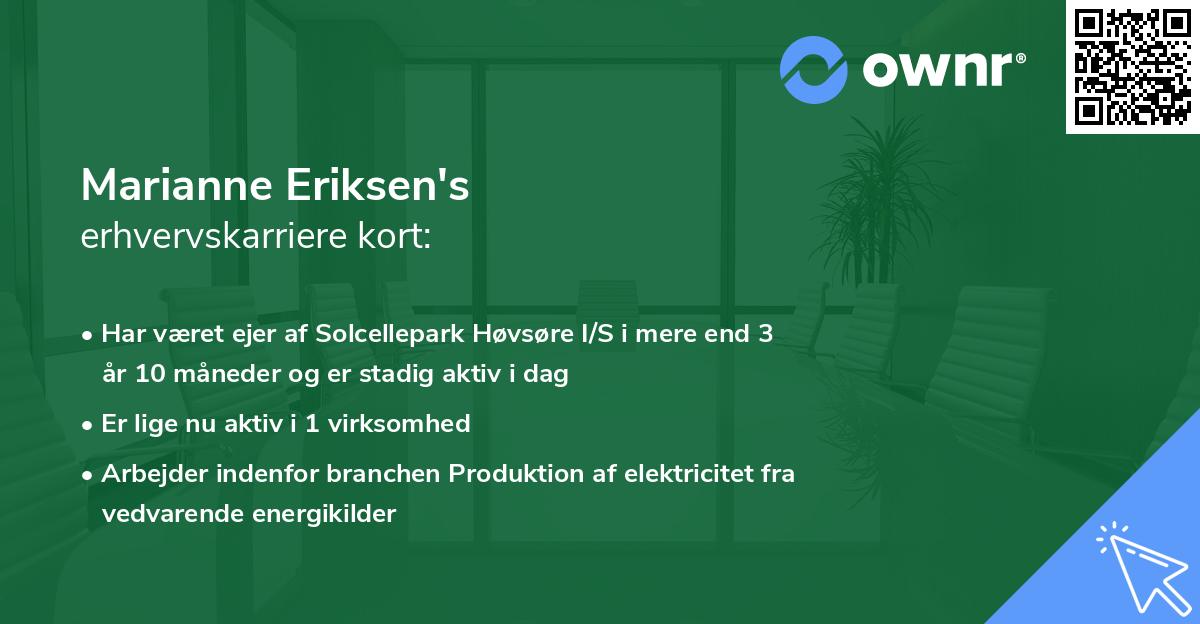 Marianne Eriksen's erhvervskarriere kort