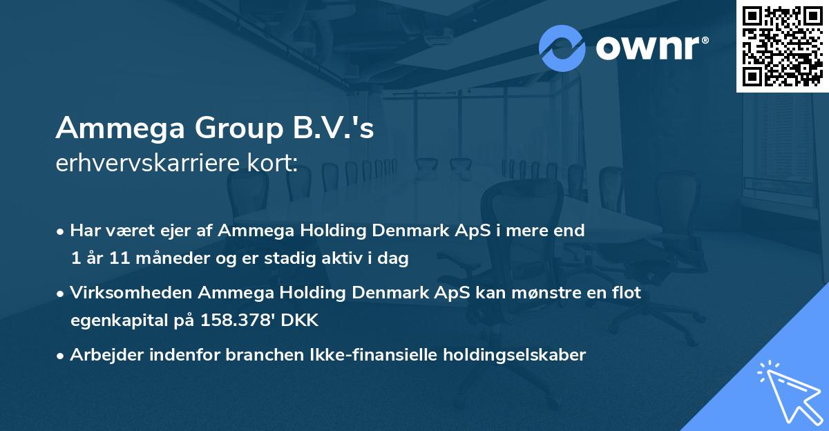 Ammega Group B.V.'s erhvervskarriere kort