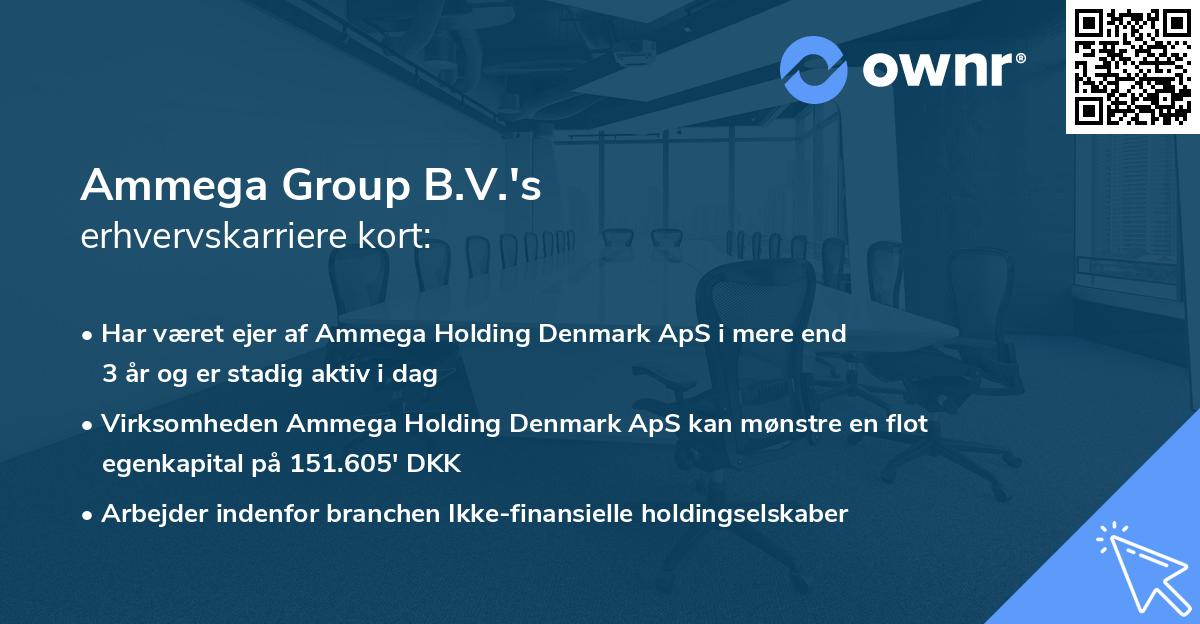 Ammega Group B.V.'s erhvervskarriere kort