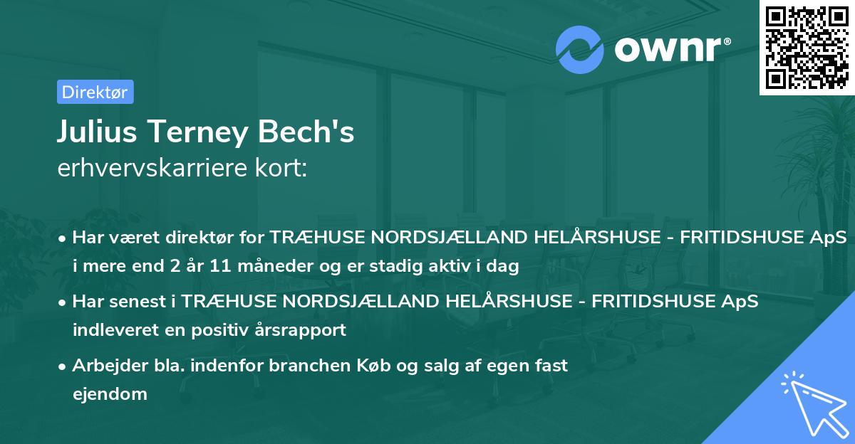 Julius Terney Bech's erhvervskarriere kort