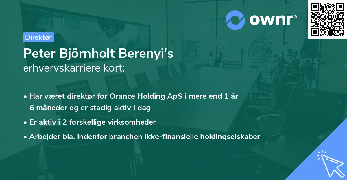 Peter Björnholt Berenyi's erhvervskarriere kort