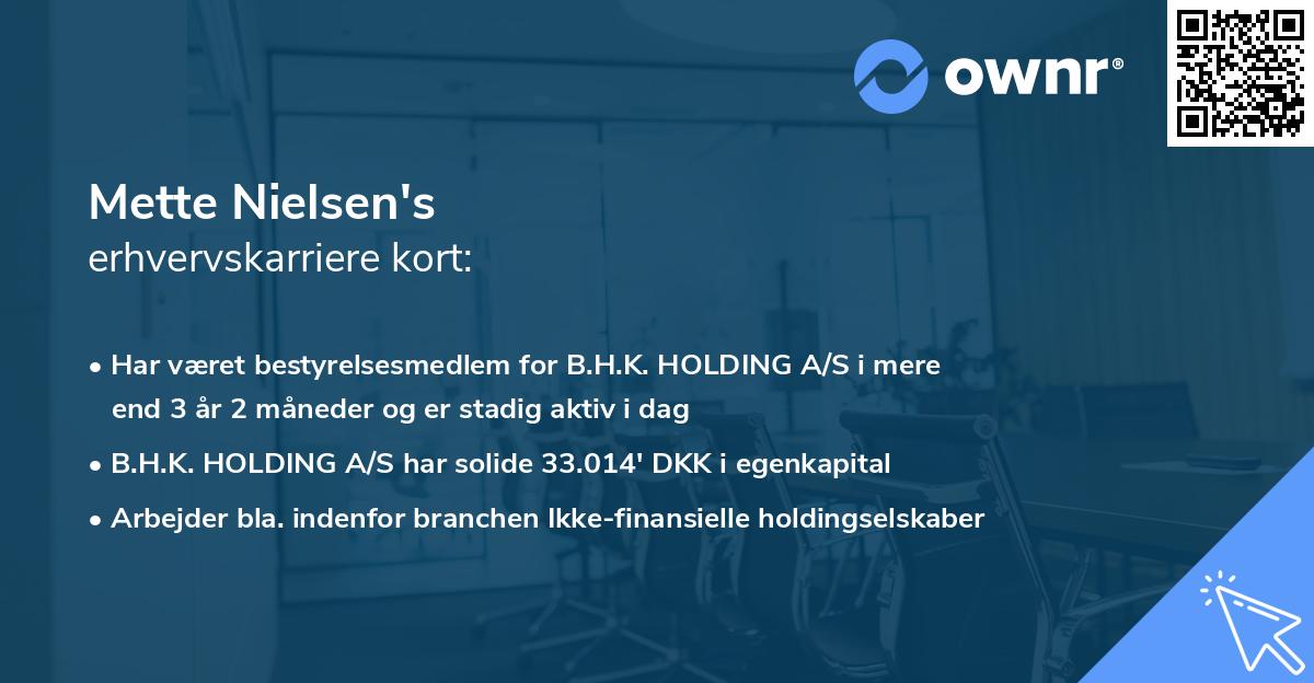 Mette Nielsen's erhvervskarriere kort