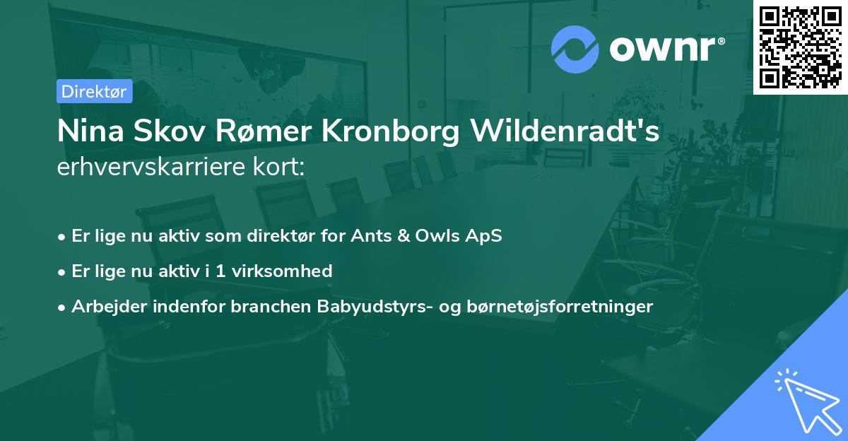Nina Skov Rømer Kronborg Wildenradt's erhvervskarriere kort