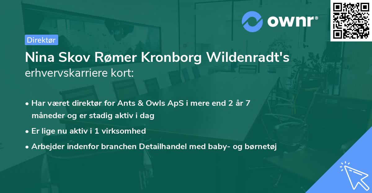 Nina Skov Rømer Kronborg Wildenradt's erhvervskarriere kort