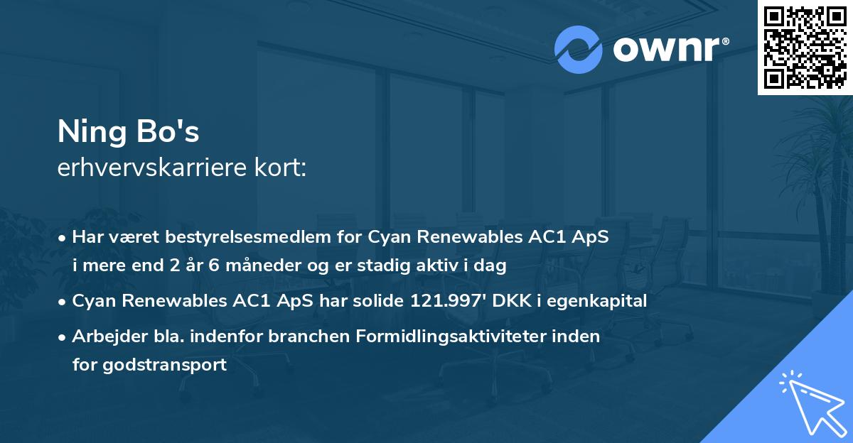 Ning Bo's erhvervskarriere kort
