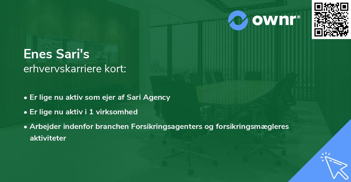 Enes Sari's erhvervskarriere kort