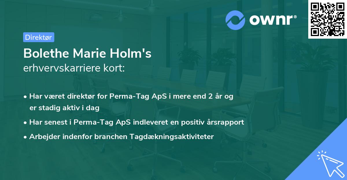 Bolethe Marie Holm's erhvervskarriere kort