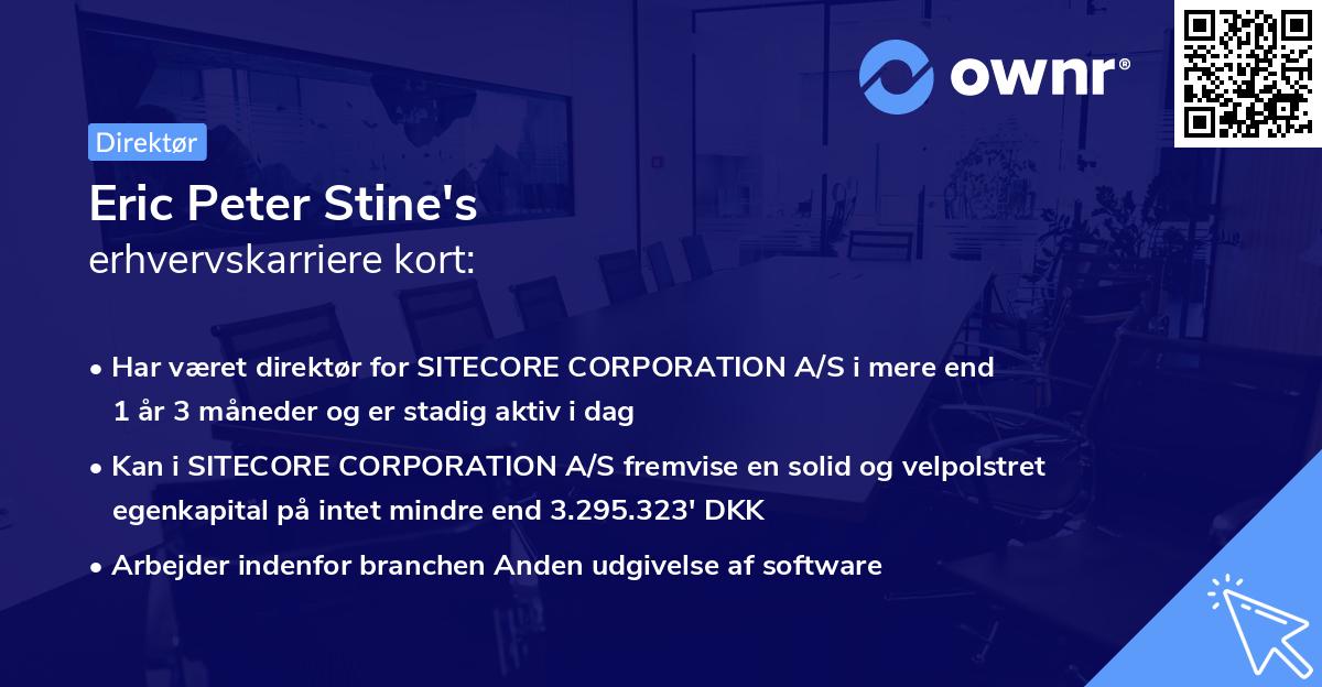 Eric Peter Stine's erhvervskarriere kort