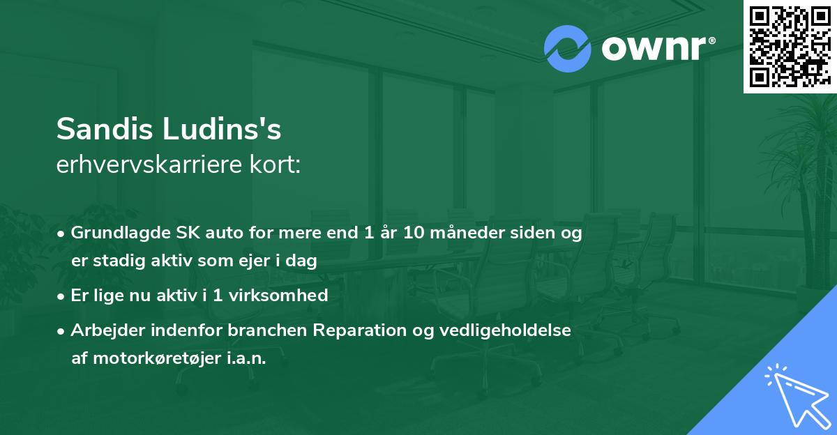 Sandis Ludins's erhvervskarriere kort
