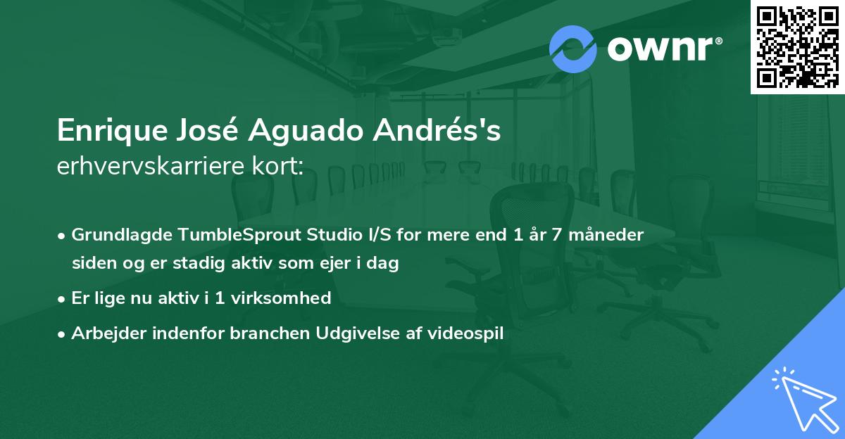 Enrique José Aguado Andrés's erhvervskarriere kort