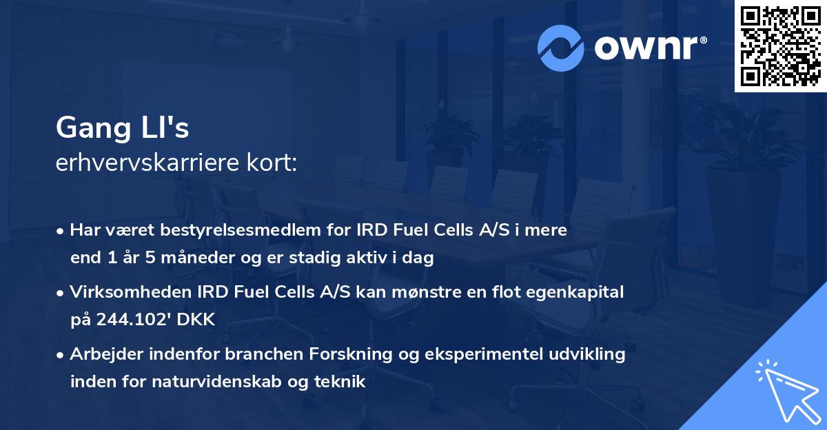 Gang LI's erhvervskarriere kort