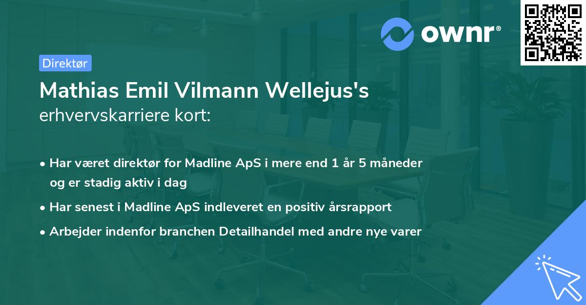 Mathias Emil Vilmann Wellejus's erhvervskarriere kort