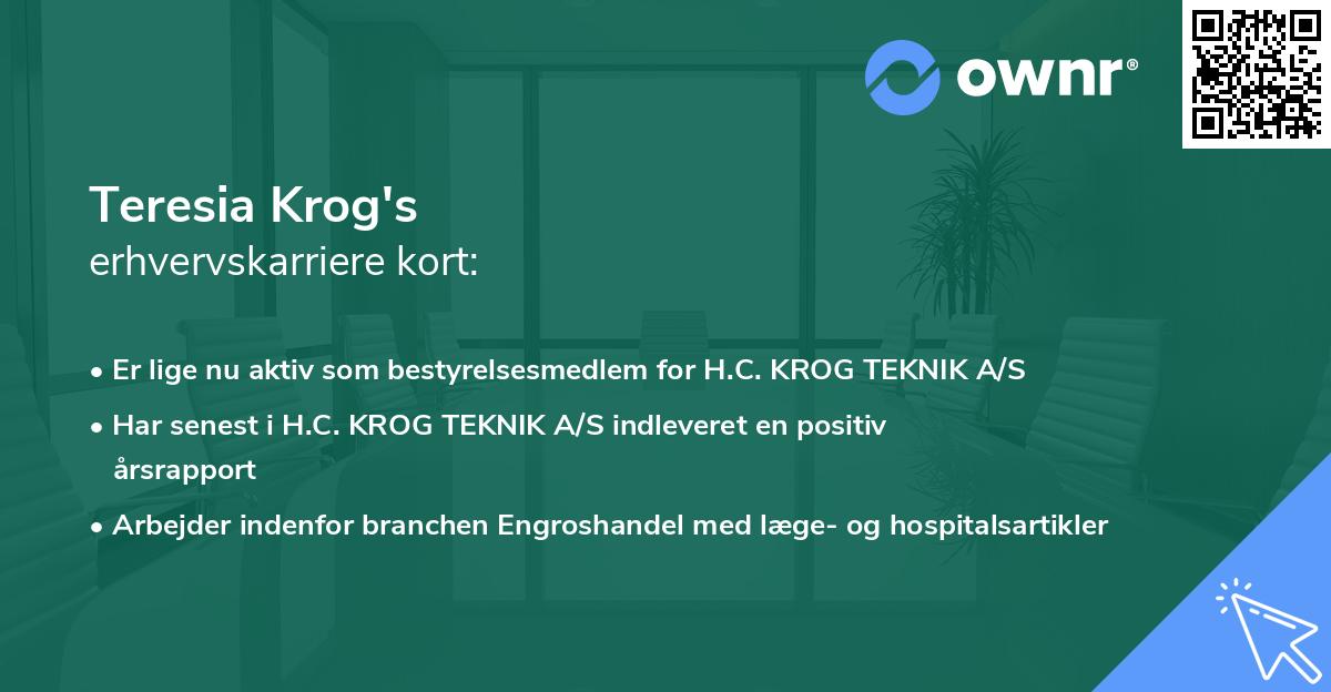 Teresia Krog's erhvervskarriere kort