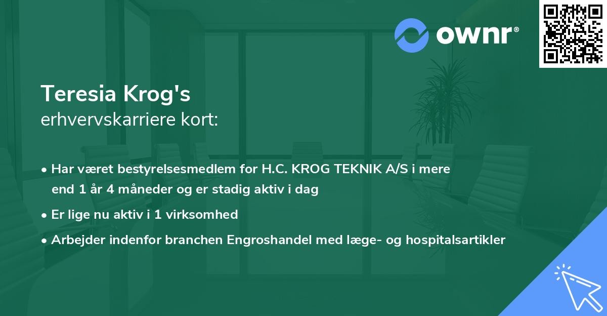 Teresia Krog's erhvervskarriere kort