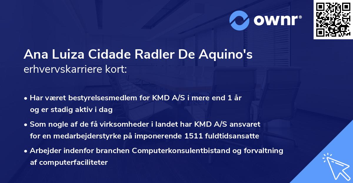 Ana Luiza Cidade Radler De Aquino's erhvervskarriere kort